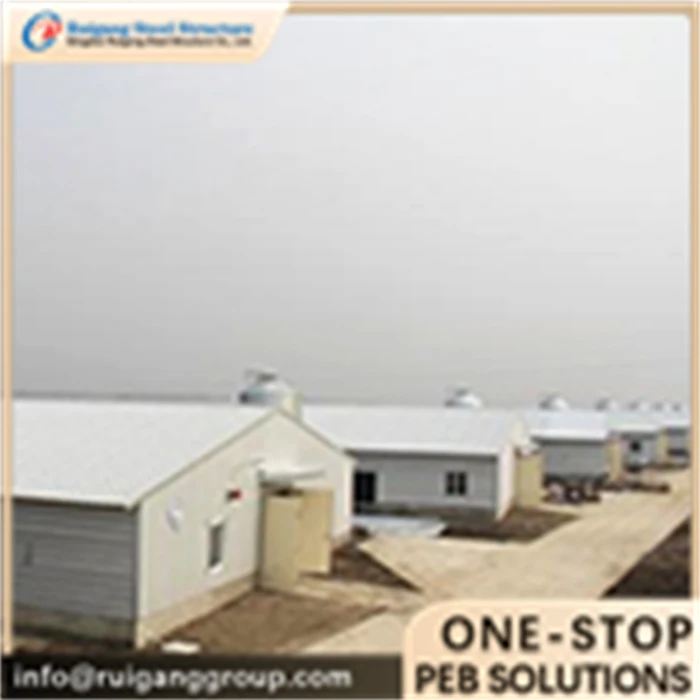 Steel Poultry Farm House